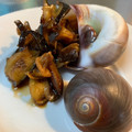 halehonu's cooksnap of when they made ツメタガイの煮付け.