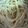 ma___111's cooksnap of when they made 市販ソースを使ってひとりパスタランチ.