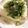 CS555's cooksnap of when they made 簡単◎おつまみネギ塩豆腐.