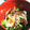 ここなな1118's cooksnap of when they made 超簡単魚料理♡鯵の漬け 丼やおつまみに.