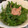 あねゴン's cooksnap of when they made 簡単 わさび菜とツナのサラダ.