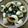 zuzu23's cooksnap of when they made 簡単♪イカ焼き.