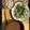 Nao1OO8OG☆'s cooksnap of when they made イカとセロリの炒め物.