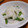 しょみ一's cooksnap of when they made スナップエンドウと新たまねぎのマヨ炒め.