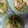 クックDF1OPG☆'s cooksnap of when they made カブの葉と油揚げの炒め物.