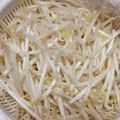 アコ8's cooksnap of when they made レンジ3分で万能シャキシャキもやし!.
