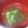 ｅｌｅｓｔａｌ's cooksnap of when they made とろろ昆布の即席お吸い物.