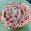 藍にゃん's cooksnap of when they made 家にあるもので簡単にふわふわお好み焼き.
