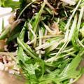 めるちゃーん's cooksnap of when they made 簡単☆水菜とえのきのサラダ.