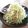 mayuyuキッチン's cooksnap of when they made 納豆のタレdeやみつき生野菜.