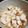 クック7FNN0F☆'s cooksnap of when they made 簡単！おつまみ長芋.
