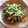 ♡こもれび♡'s cooksnap of when they made 豆苗きゅうりちくわのマヨポンサラダ.