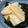 白バラ牛's cooksnap of when they made 京たけのことわかめの煮物（若竹煮）.
