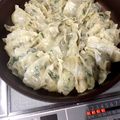 きらきらきららん's cooksnap of when they made とってもジューシー☆羽根つき餃子.