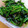 こころんち☆'s cooksnap of when they made ほうれん草の胡麻和え.