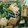 クックSEDTQS☆'s cooksnap of when they made 厚揚げのオイスター炒め.