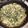kikuety's cooksnap of when they made ふきのとう味噌♪.
