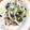 クックBVXN9Z☆'s cooksnap of when they made アズキナのマヨネーズ和え.