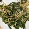 すがまっち's cooksnap of when they made ピーマンともやしの炒め物.