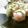 solapapa's cooksnap of when they made 野菜たっぷり♬ヘルシーで美味しい生春巻き.