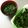 ☆ありか358☆'s cooksnap of when they made あおさのお吸い物.