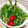 しじみじみじみ's cooksnap of when they made ごぼうと水菜の生ハムサラダ.