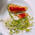 かっぱコップ's cooksnap of when they made ピーマンの肉詰め【お弁当用】.