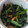 かづピヨ's cooksnap of when they made ☆作り置きに最適☆簡単小松菜の煮浸し.