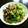 Mr・J's cooksnap of when they made 超簡単な小松菜とひき肉の炒めもの.