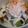 カネッキー's cooksnap of when they made ✼豆腐＆アボカド＆マグロのスノーサラダ✼.