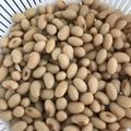 アロヒママ's cooksnap of when they made 祝話題入り！鍋でふっくら乾燥大豆の戻し方.