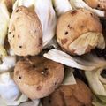 1男4女のママ's cooksnap of when they made キャベツとがんもどきの炊いたん.