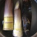 youshizu's cooksnap of when they made たけのこ下ごしらえ。(あく抜き).