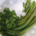 ガリ☆トトロ's cooksnap of when they made こごめ？こごみ？の下茹で.