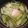 クックXCYSK0☆'s cooksnap of when they made かぶの味噌汁♪かぶが甘くて美味しい♪.