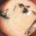 モカ‘Ｓキッチン's cooksnap of when they made 絶品！！長芋のトロトロ味噌汁(*´з`).