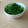 小之助's cooksnap of when they made おり菜(かき菜)のわさび和え.