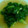 はるchan80's cooksnap of when they made 簡単青菜炒め.