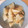 ヨダぽよ's cooksnap of when they made 大根とアサリの煮物.