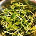 のんのんノンタロス's cooksnap of when they made これだけで美味しい「豆苗と塩昆布」.