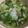 フットサ's cooksnap of when they made ひよこ豆とレンズ豆のスープ.