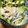 クックV4WJS0☆'s cooksnap of when they made もやしで簡単！しゃきしゃきサラダ.