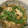 虎蓮坊's cooksnap of when they made 竹の子とスナップえんどうの卵とじ.