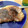 ミクろう's cooksnap of when they made ステーキの焼き方.
