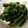 あんぱん22's cooksnap of when they made ほうれん草のごま和え.