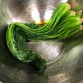 seatome's cooksnap of when they made ほうれん草の下ごしらえは「醤油洗い」で♫.