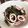 Linessa's cooksnap of when they made 簡単すぎ？イカとほうれん草炒め.