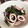 Linessa's cooksnap of when they made 簡単すぎ？イカとほうれん草炒め.