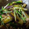 あき姫ちゃん's cooksnap of when they made ❁なすとひき肉のポン酢炒め❁.