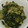 クックF2GEXC☆'s cooksnap of when they made しらすとわかめときゅうりの酢の物.